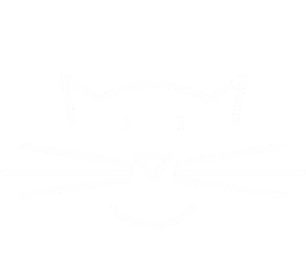 Cat Sitting in Battle Ground, WA